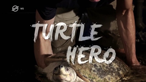 Univerzum - A teknősök megmentője (Turtle Hero) 2017 HDTV 720p x264 Hun mkv Unive198