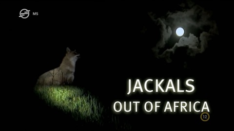 Univerzum - Sakálok - Távol Afrikától 2006 (Jackals Out of Africa) HDTV 720p x264 Hun mkv Unive234