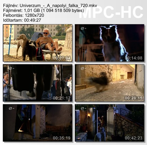 Univerzum - A nápolyi falka (Napoli dogs) 2006 HDTV 720p x264 Hun mkv Univer76