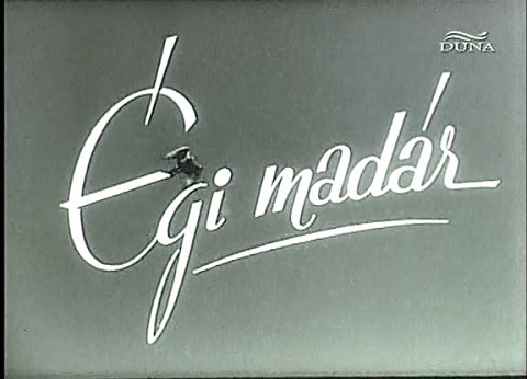 zogi_m10.jpg
