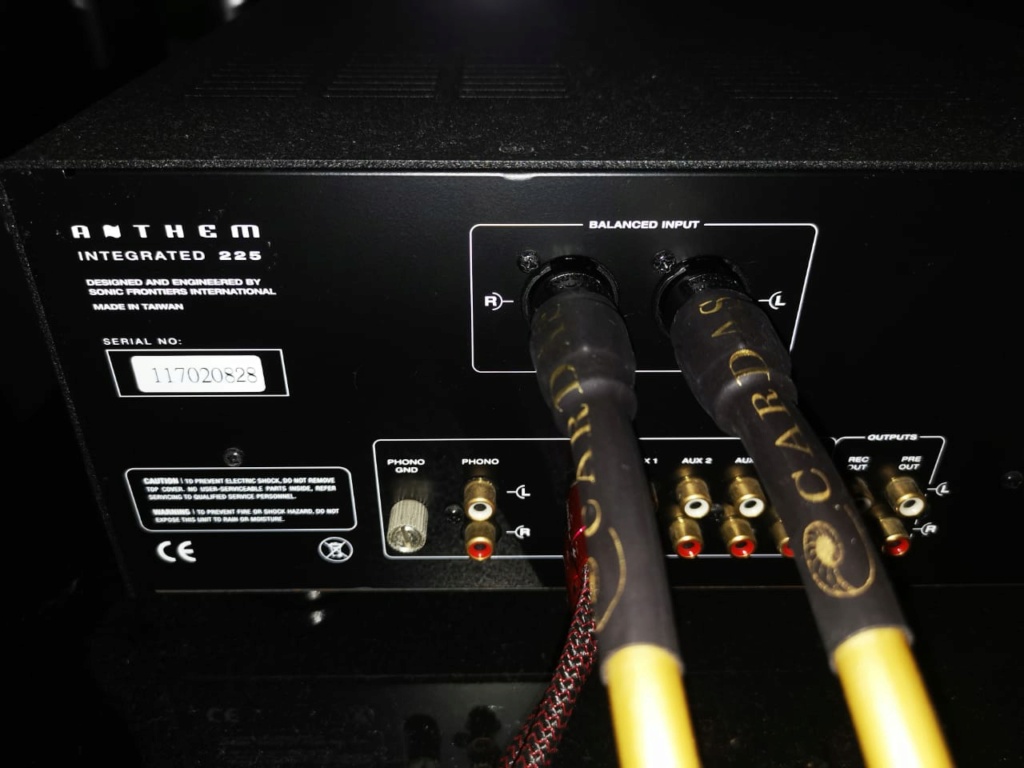 Anthem Integrated 225 Amplifier SOLD Back_a10