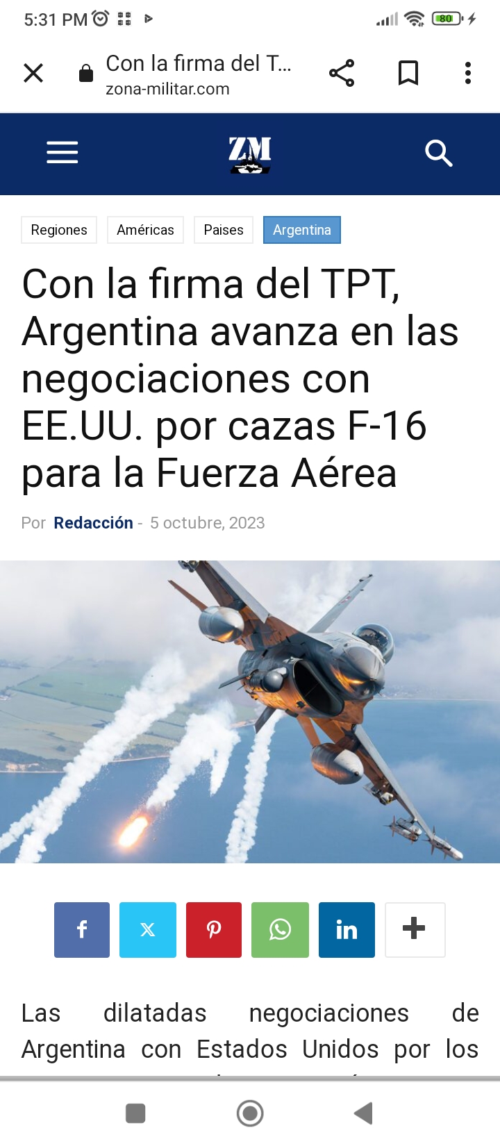 Fuerzas Armadas de Argentina - Página 4 Screen10