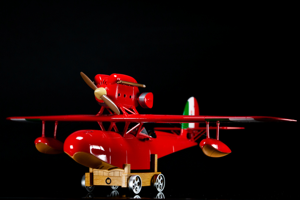 Savoia S.21 Porco Rosso  - Page 7 Photo496