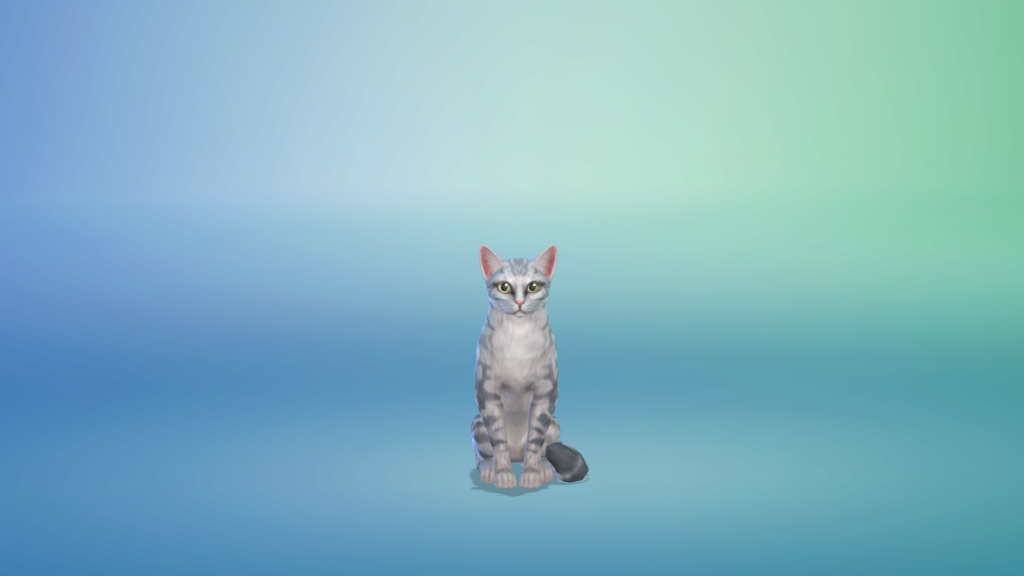 I’ll make yer kibbens in TS4 01-01-18