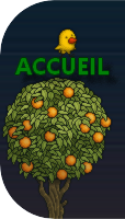 Accueil