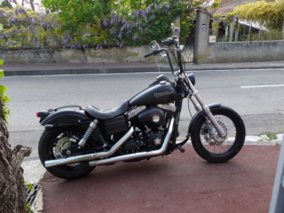 Guidon fat-bob Bob_210