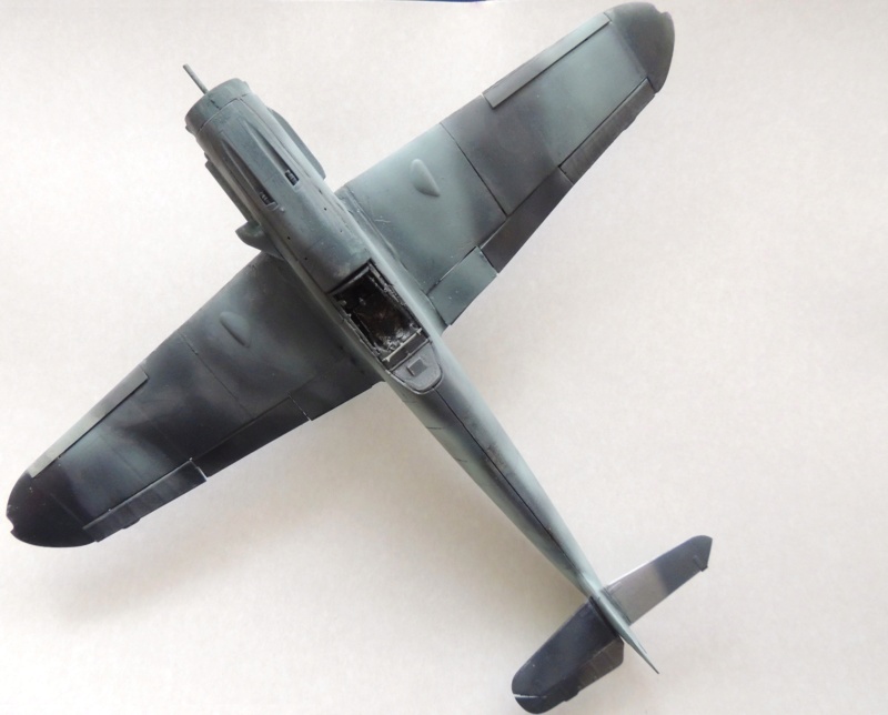 Сборная модель Messerschmitt Bf109G-6 Dscn0514