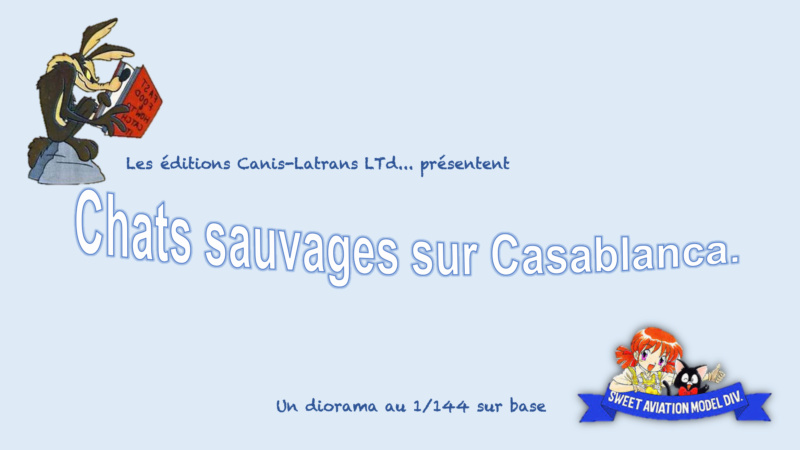 Chats Sauvages sur Casablanca - 1/144 - Sweet models 157