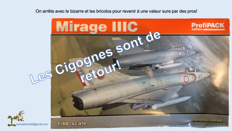 MIRAGE sur Dijon Cigognes en Bourgogne. - Page 2 A768