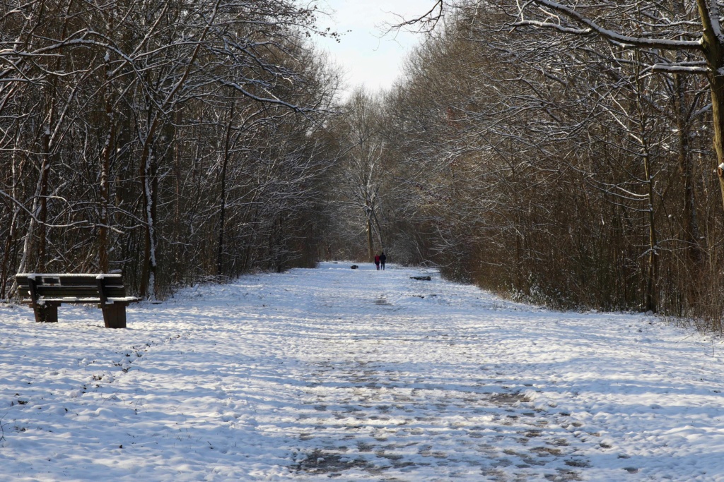 Concours du mois de février 2021 : l'hiver - Les résultats 1512