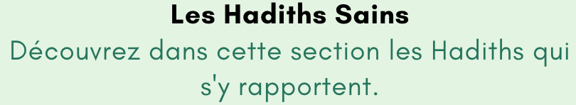 2.2.2 Hadiths Captu249