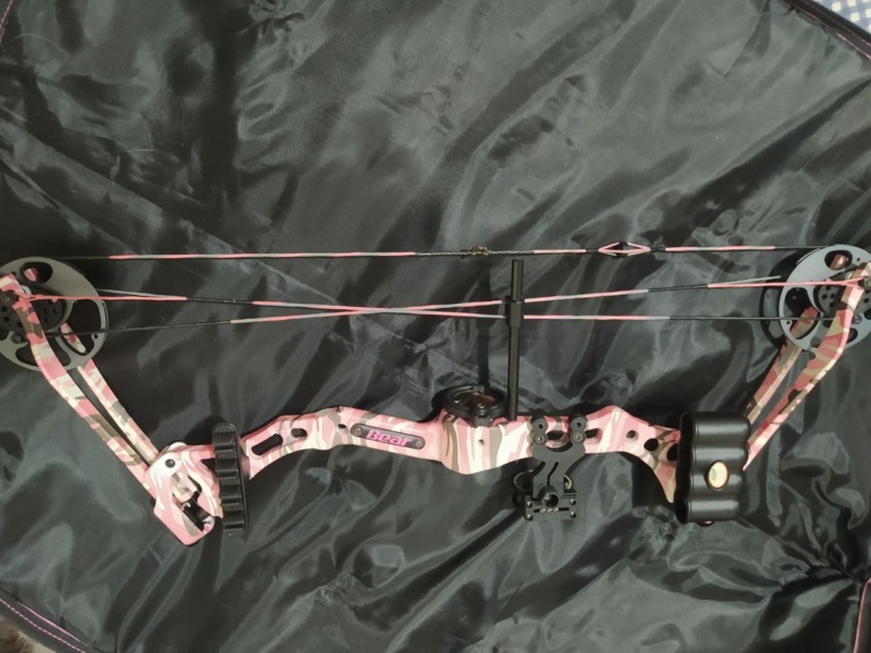 Vendo Arco Bear Archery Apprentice 2 Whatsa20