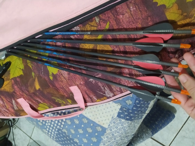 Vendo Arco Bear Archery Apprentice 2 Whatsa21