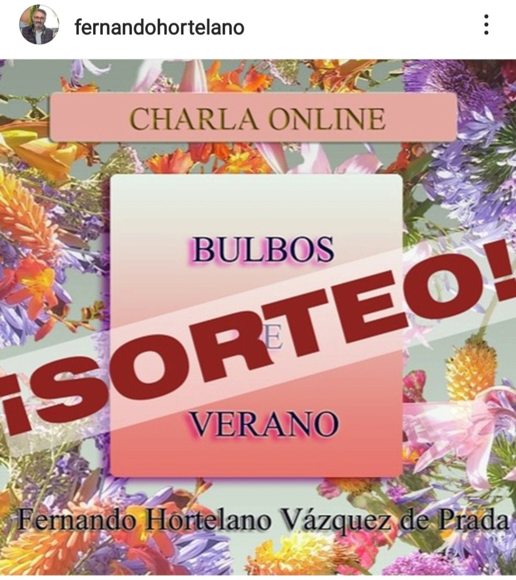 CHARLA ONLINE BULBOS DE VERANO Screen11