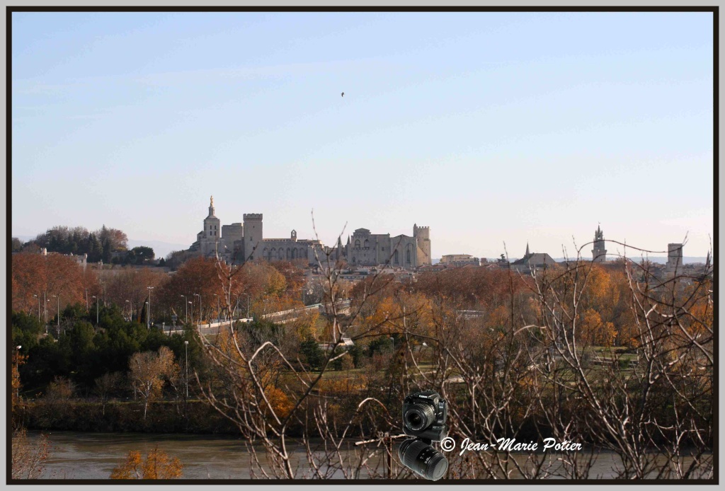 Avignon et ses alentours Paysag15