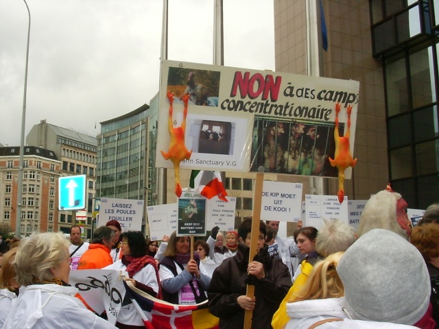 (B) Bruxelles 19 Mars "Manif Parlement Européen" 19_mar10