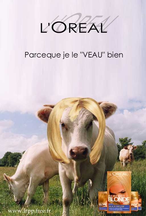 l'Oréal pour blondes Vache_10