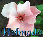 avatar et signature Helmad11