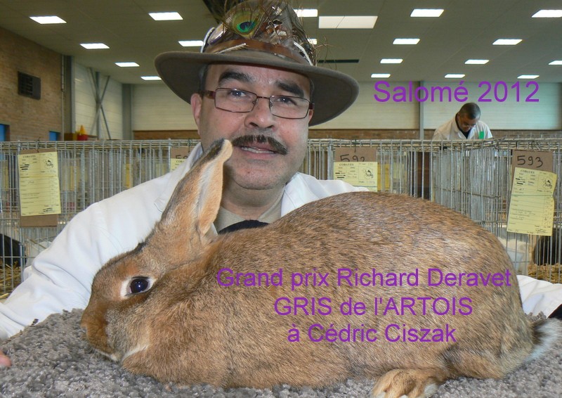 Salome 2013. Spcial lapins et cobayes.  - Page 6 Gp_rd_18