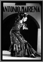 Belles photos (flamenco) Flamen10