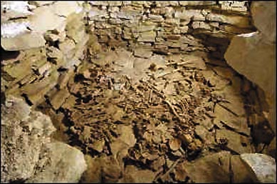 Une chambre funéraire vieille de 6000 ans 8210