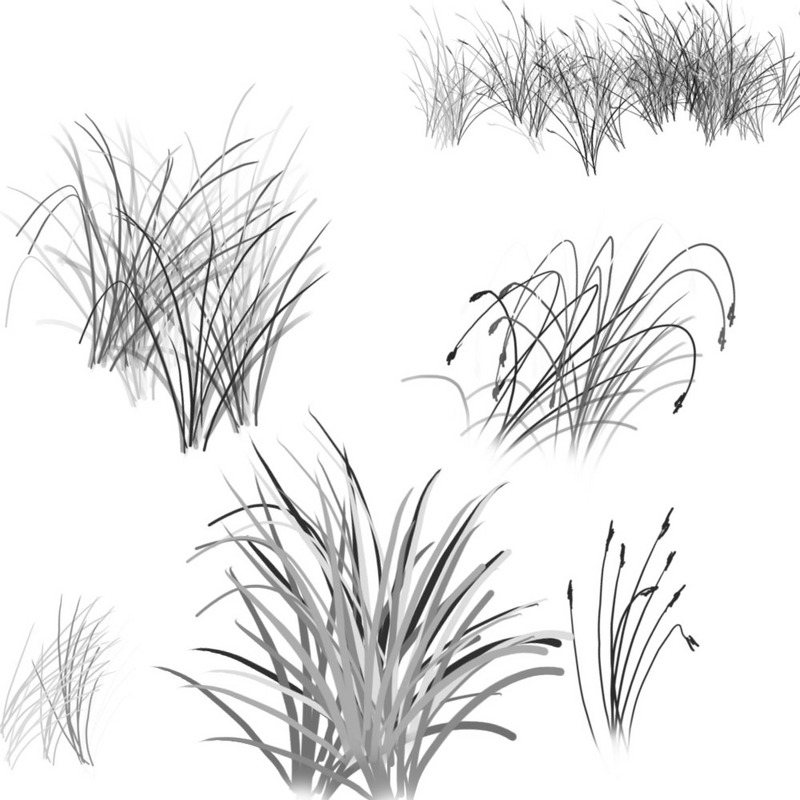 [Brush] Vectoriels Herbe210