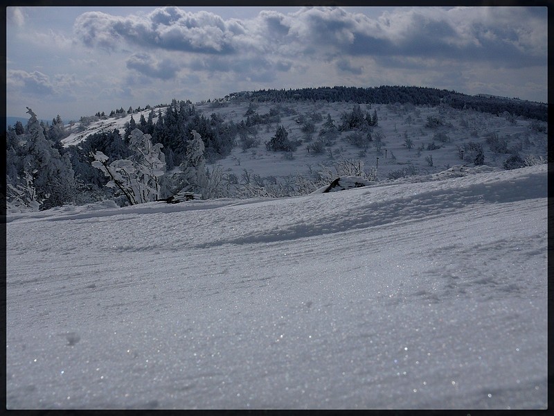 Neige, soleil et givre dans le Massif du Pilat P1060710