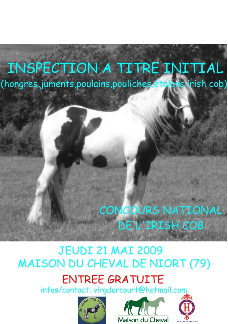 inspection ICS a Niort - Page 2 Affich10