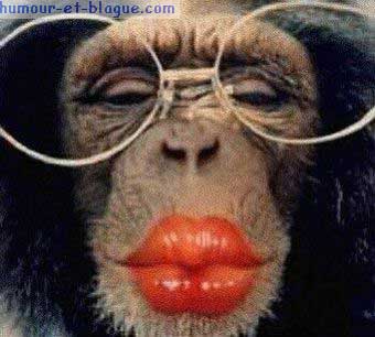 Bon Anniversaire Daniel