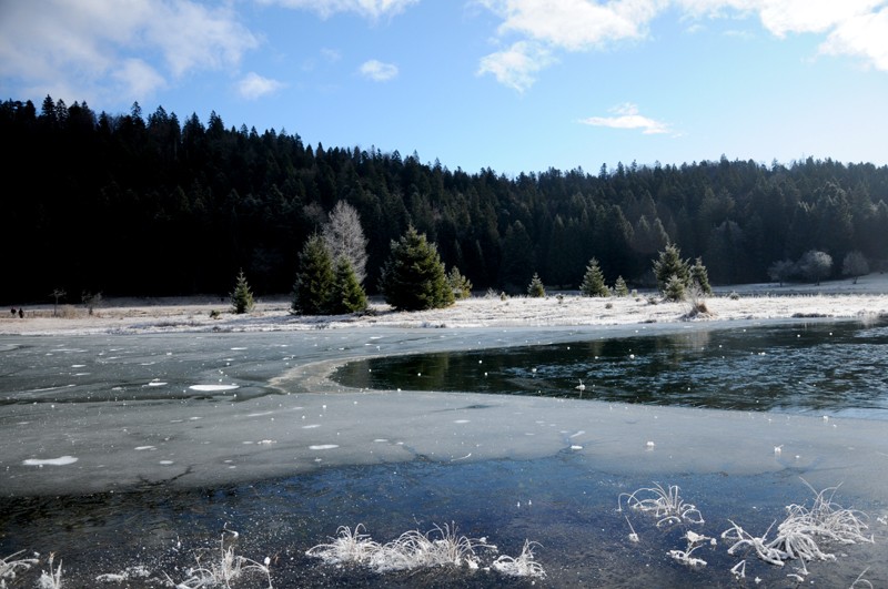 gel et givre au lac genin Glace_12