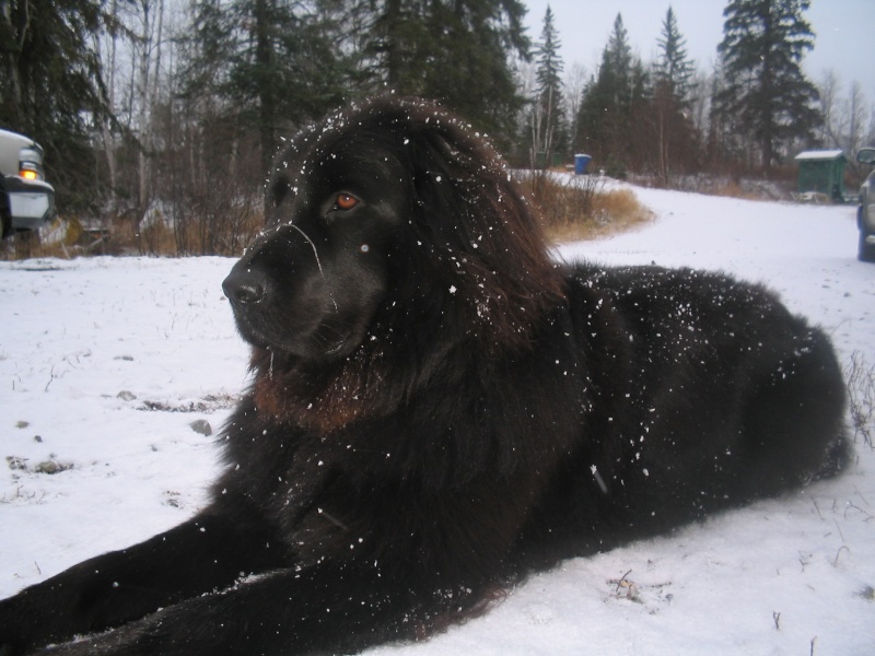 Première neige Divers17