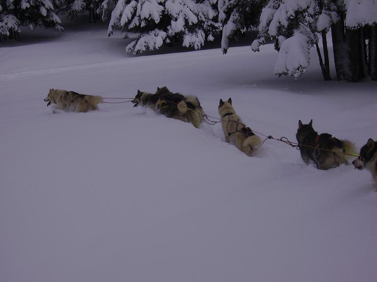 Ingrid la neige arrive...... Peuf11