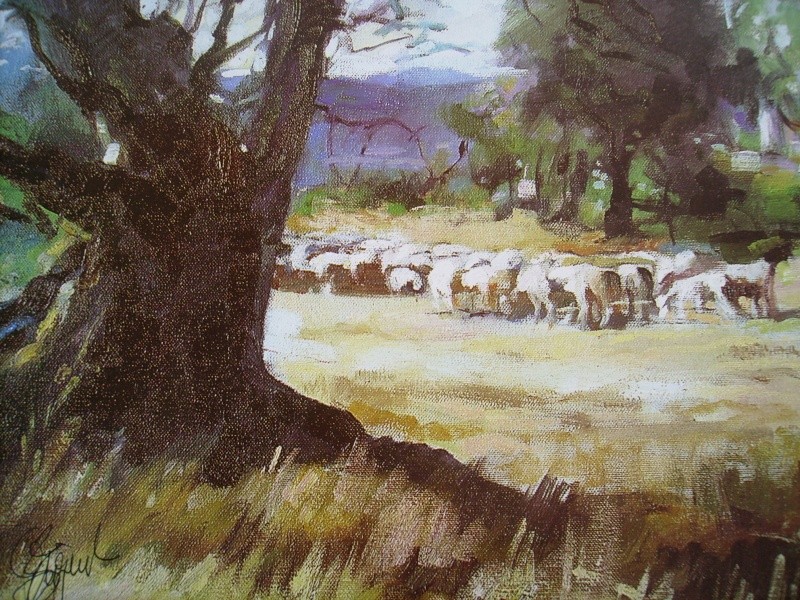 periode mouton Photo_40