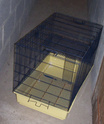 grande cage à rat (6 ou 8 rats) 100_4019