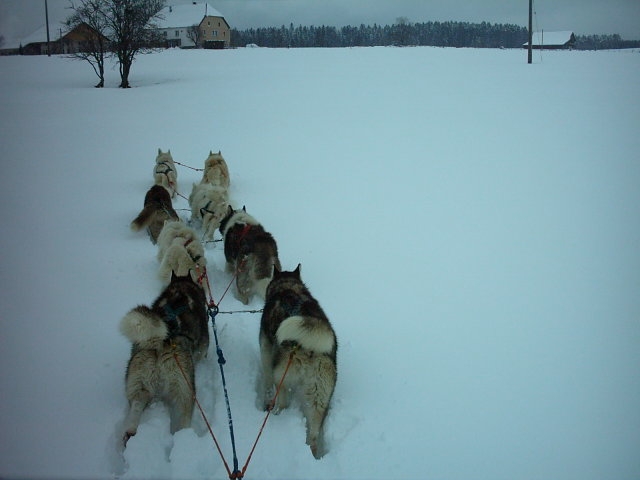 vive la neige du primtemps !! Imag0015