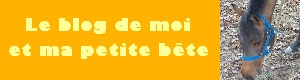 Quel est votre skyblog? Blogmo11