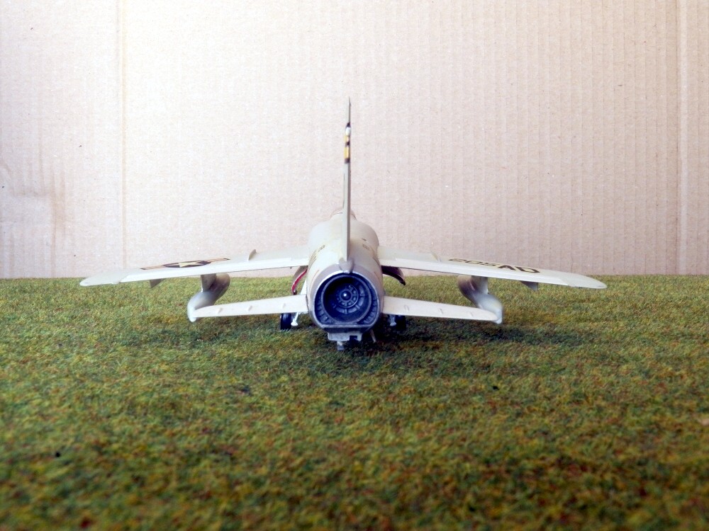 [Hasegawa] Grumman F11F-1 Tiger, 1981 101_0612