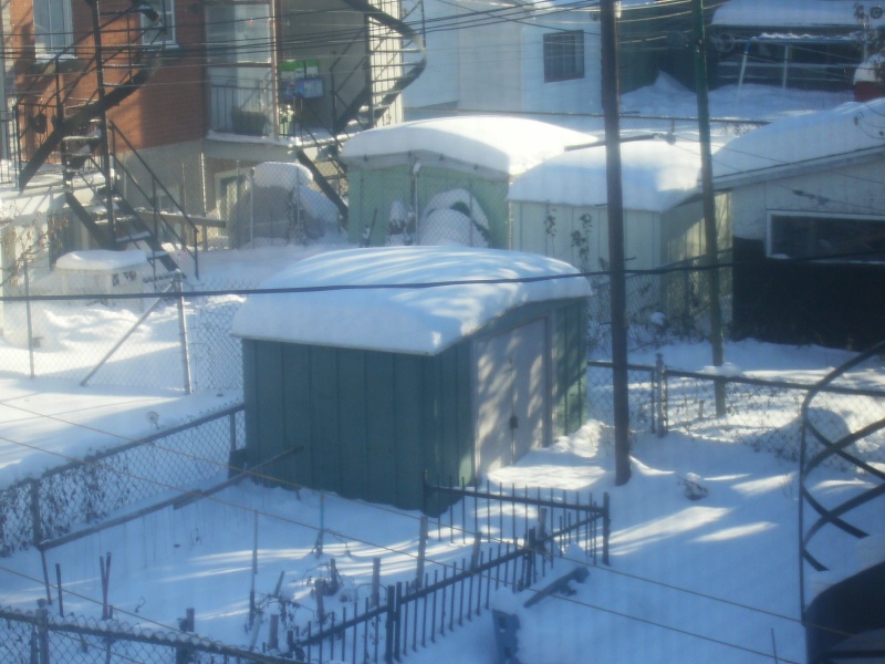 1 ere tempte de neige en 2007  Montral Hpim0610