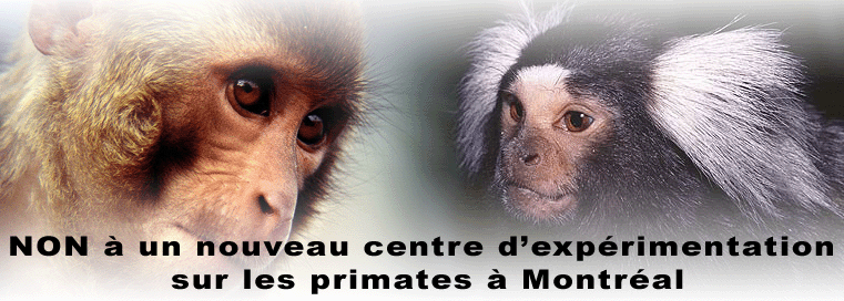 Produits testés sur les animaux -attention Primat10