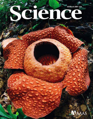 Science Magazine بتاريخ 30 مارس 2007 2requw10