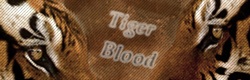 Tiger Blood Sans_t11