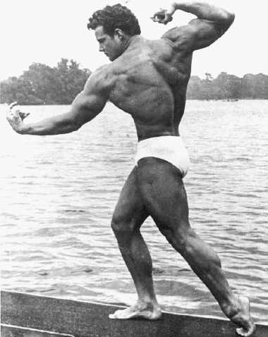 Steve Reeves 491010