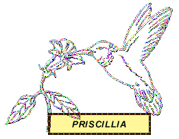 Le Prénom " Priscilla " Animé !! Prisci10