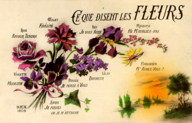 Cartes anciennes Gfleur10