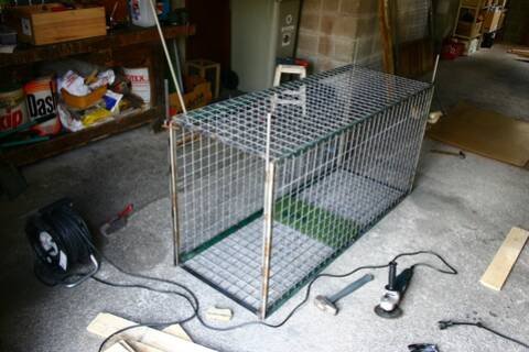 Cage à renard fabrication artisanale! A VENDRE 100€