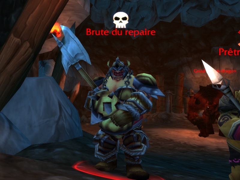 voici les têtes des vilains qui peuple la caverne de gruul Gruul_19