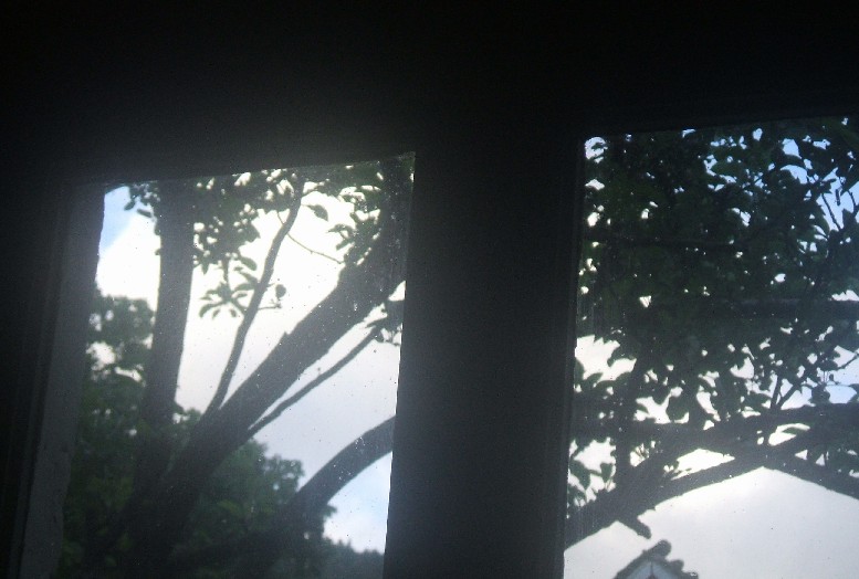 Ma fenêtre Par_la10