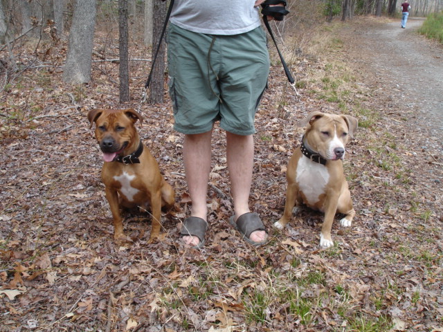 My wife and I w/our dogs at Sandy Bottom Park, Hampton, VA. Dsc00914