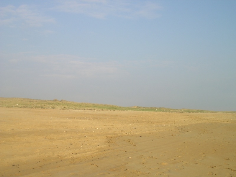 Images des dunes P1010022