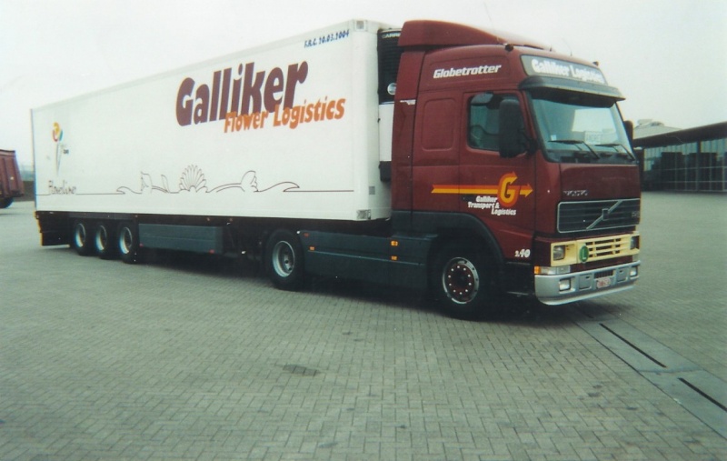 TRANSPORT GALLIKER (ch) Gallik31